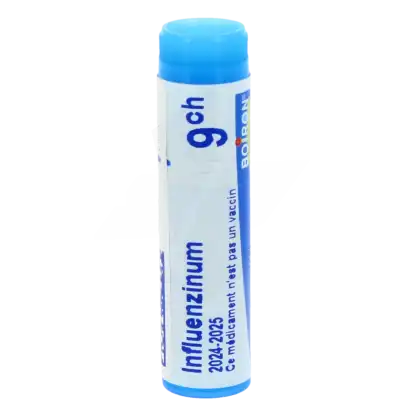 Boiron Influenzinum 9ch Globules Dose De 1g à BRUGES