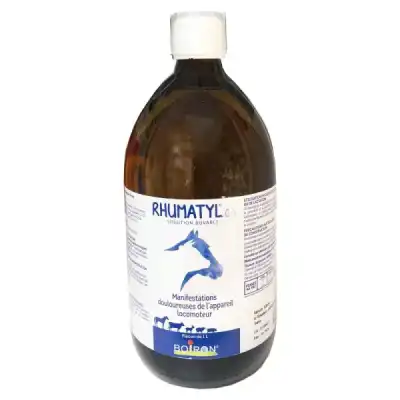 BOIRON RHUMATYL GA Solution buvable Fl/1L