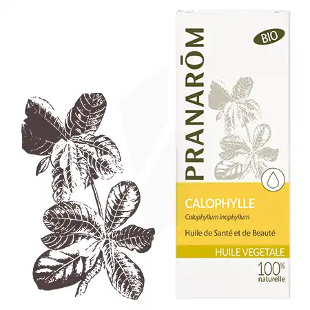 Pranarom Huile Végétale Bio Calophylle 1l