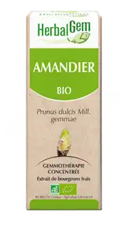 Herbalgem Amandier Macérat Bio 30ml