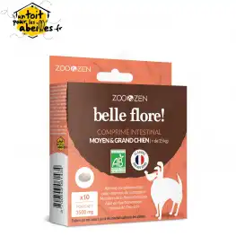 Béliflor Zen & Zoo Bien-Être Intestinal Moyen Et Grand Chien Bio 10 Comprimés à Chalon-sur-Saône
