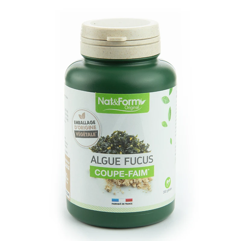 Le fucus : algue brune coupe-faim