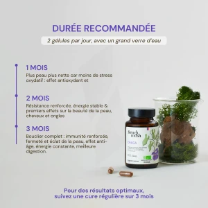 French Mush Le Chaga Bio Gélules Boîte De 56