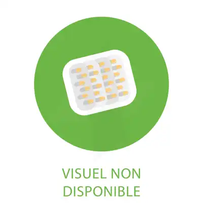 Vitalite 4g Dynamisant Cpr B/28 à GRENOBLE