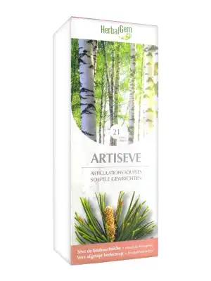 Herbalgem Artiseve Articulations Souples 250ml à Harly