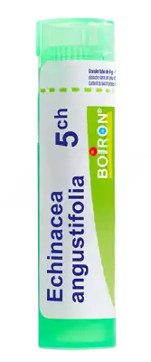 Boiron Echinacea Angustifolia 5ch Granules Tube De 4g à Vétraz-Monthoux