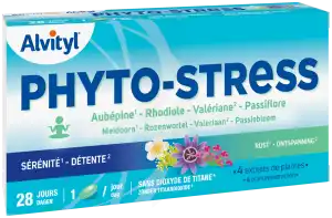 Govital Phyto-stress 28 Gélules à AUDENGE