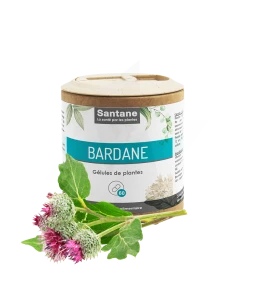 Santane Bardane Gélules De Poudre De Plantes 270mg B/60