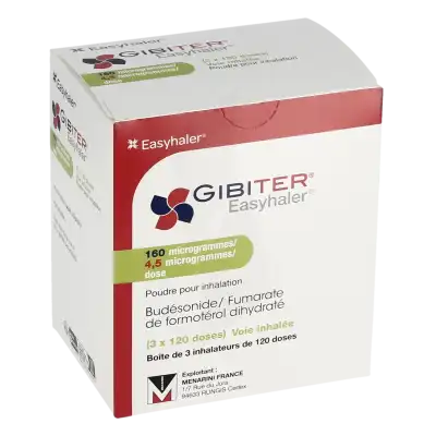 Gibiter Easyhaler, 160 Microgrammes/4,5 Microgrammes/dose, Poudre Pour Inhalation à CHAMPAGNOLE