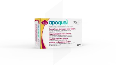APOQUEL 16 MG COMPRIMES A CROQUER POUR CHIENS, Comprimé à croquer