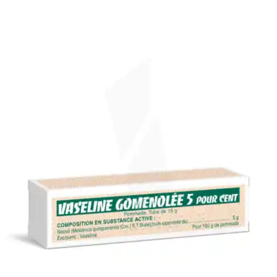 Vaseline Gomenolee 5 % Pommade T/15g à Libourne
