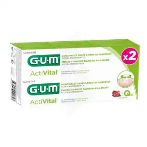 Acheter Gum Activital Gel Dentifrice Prévention 2T/75ml à ST-ETIENNE-DE-TULMONT