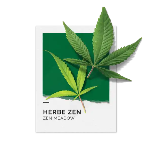 Solinotes Herbe Zen Eau De Parfum 15ml