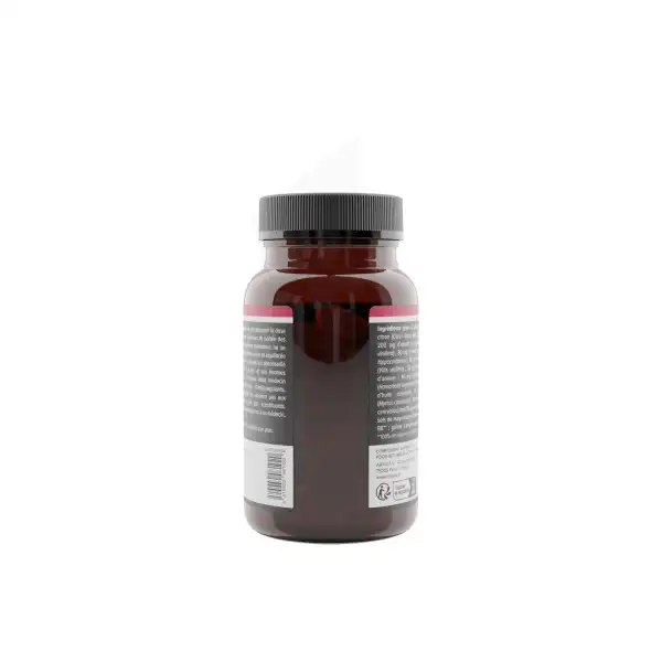 Aragan Synactifs Circactifs Gélules B/60