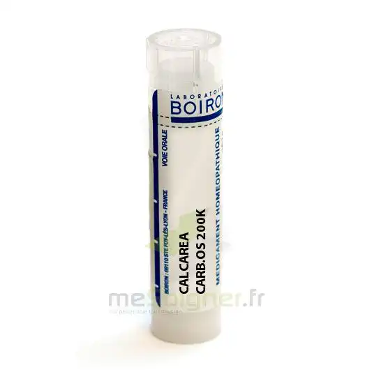 Boiron Calcarea Carbonica Ostrearum 200k Granules Tube De 4g