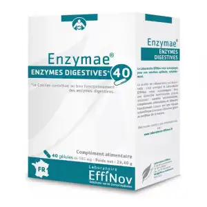Effinov Nutrition Enzymae Gélules B/40 à Vannes