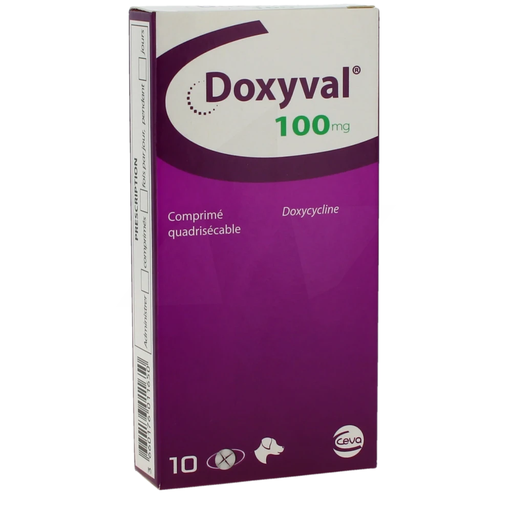 Doxyval 100 Mg Comprime Quadrisecable Pour Chien, Comprimé