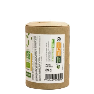 Nat&form Ecoresponsable Ginseng/guarana Bio 120 Gélules Végétales