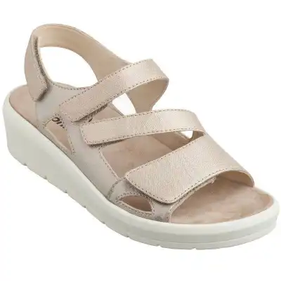 Pharmac Ch Sammie Sand Pierre P40 Paire à Bressuire