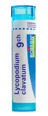 Boiron Lycopodium Clavatum 9ch Granules Tube De 4g à SAINT-SAENS