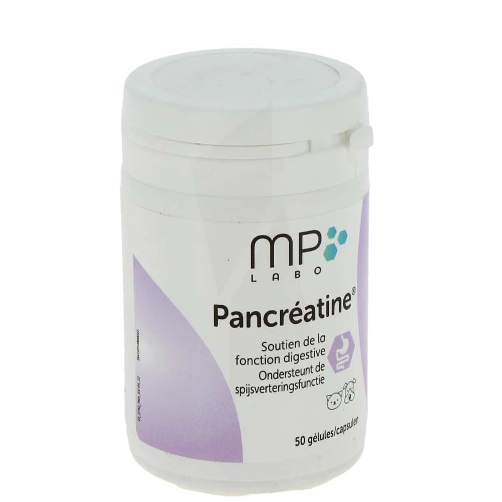 Pancreatine Gelules B/50 Gel