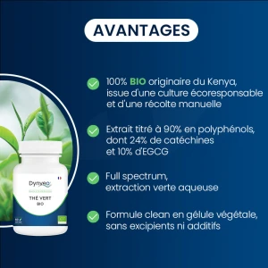 Dynveo The Vert Bio 90% Polyphénols 10% Egcg 500mg 60 Gélules