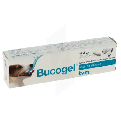 BUCOGEL, tube 50 ml