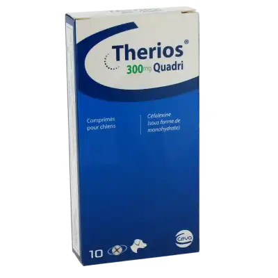 THERIOS 300 MG QUADRI COMPRIMES POUR CHIEN, Comprimé