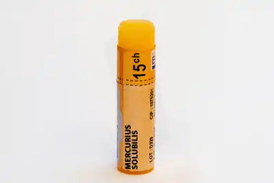 Boiron Mercurius Solubilis 15ch Globules Dose De 1g à Annecy