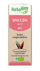 Herbalgem Sinugem Solution Buvable Bio Fl Cpte-gttes/30ml à CLERMONT-FERRAND