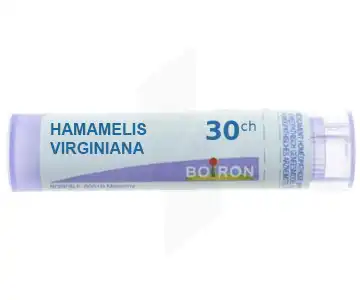 Boiron Hamamelis 30ch Granules Tube De 4g à NOYON