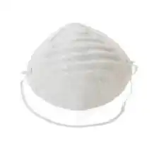 Delatex Masque Papier Usage Unique B/10 à ST-PIERRE-D'OLERON