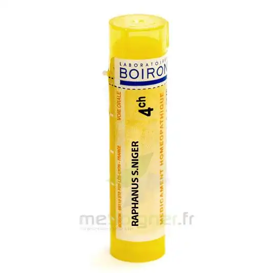 Boiron Raphanus Sativus Niger 4ch Granules Tube De 4g