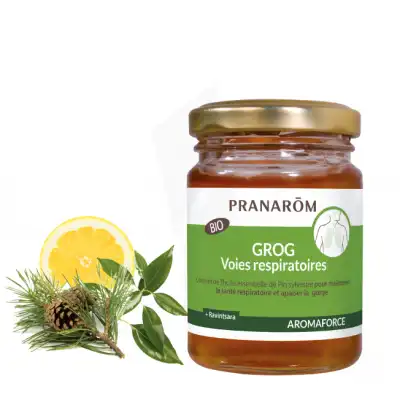 Aromaforce Grog Voies Respiratoires Bio Pot/100ml à Libourne