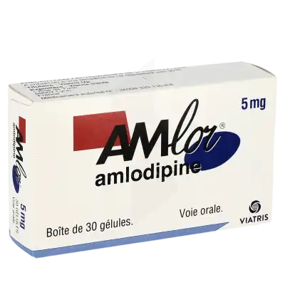 Amlor 5 Mg, Gélule à Casteljaloux