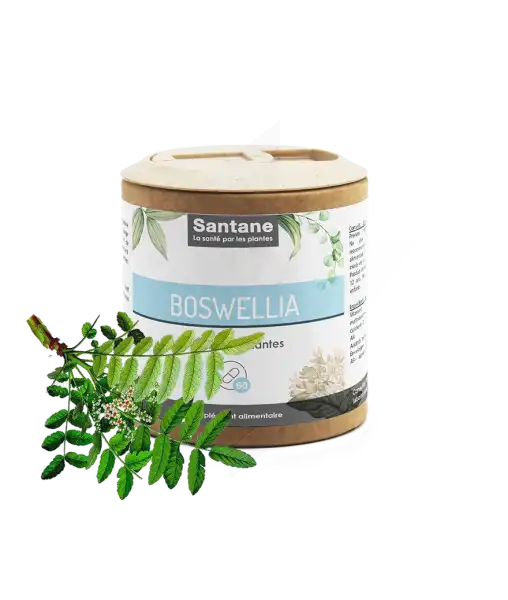 Santane Boswellia Gélules De Poudre De Plantes 200mg B/60