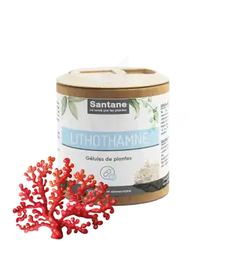 Santane Lithothamne Gélules De Poudre De Plantes 420mg B/60 à Espaly-Saint-Marcel