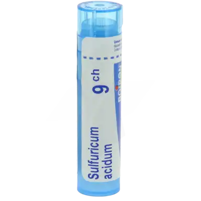 Boiron Sulfuricum Acidum 9ch Granules Tube De 4g à Hagetmau