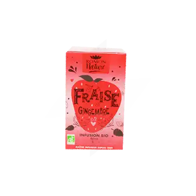 Romon Nature Infusion Fraise Gingembre Bio 16 Sachets à CANEJAN