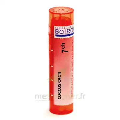 Boiron Coccus Cacti 7ch Granules Tube De 4g à BOURG-SAINT-ANDÉOL