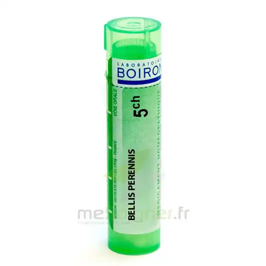 Boiron Bellis Perennis 5ch Granules Tube De 4g