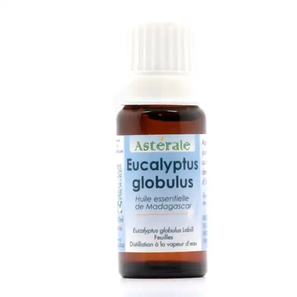 Huile Essentielle Eucalyptus Globulus 10ml