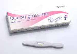 Polidis Test De Grossesse Stick/1 à LA VALETTE DU VAR