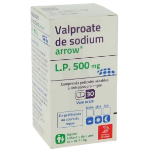 Valproate De Sodium Arrow L.p. 500 Mg, Comprimé Pelliculé Sécable à Libération Prolongée