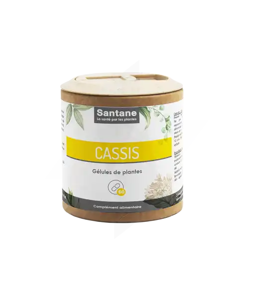 Santane Cassis Gélules De Poudre De Plantes 250mg B/60