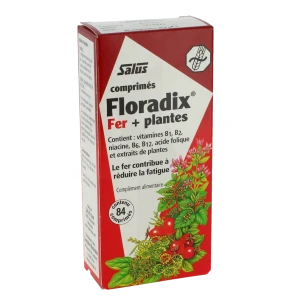 Floradix Fer+plantes Comprimés Vigueur énergie B/84