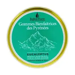 Ballot Flurin Gommes Bienfaitrices Des Pyrénées à TOULOUSE