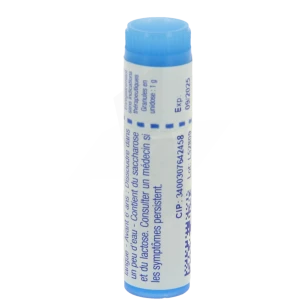 Boiron Uricum Acidum 9ch Globules Dose De 1g