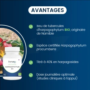 Dynveo Harpagophytum Bio Concentré Harpagosides 40% 200mg 60 Gélules