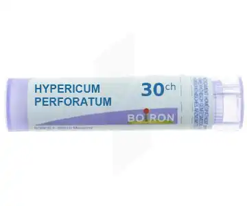 Boiron Hypericum Perforatum 30ch Granules Tube De 4g à SAINT-MEDARD-EN-JALLES